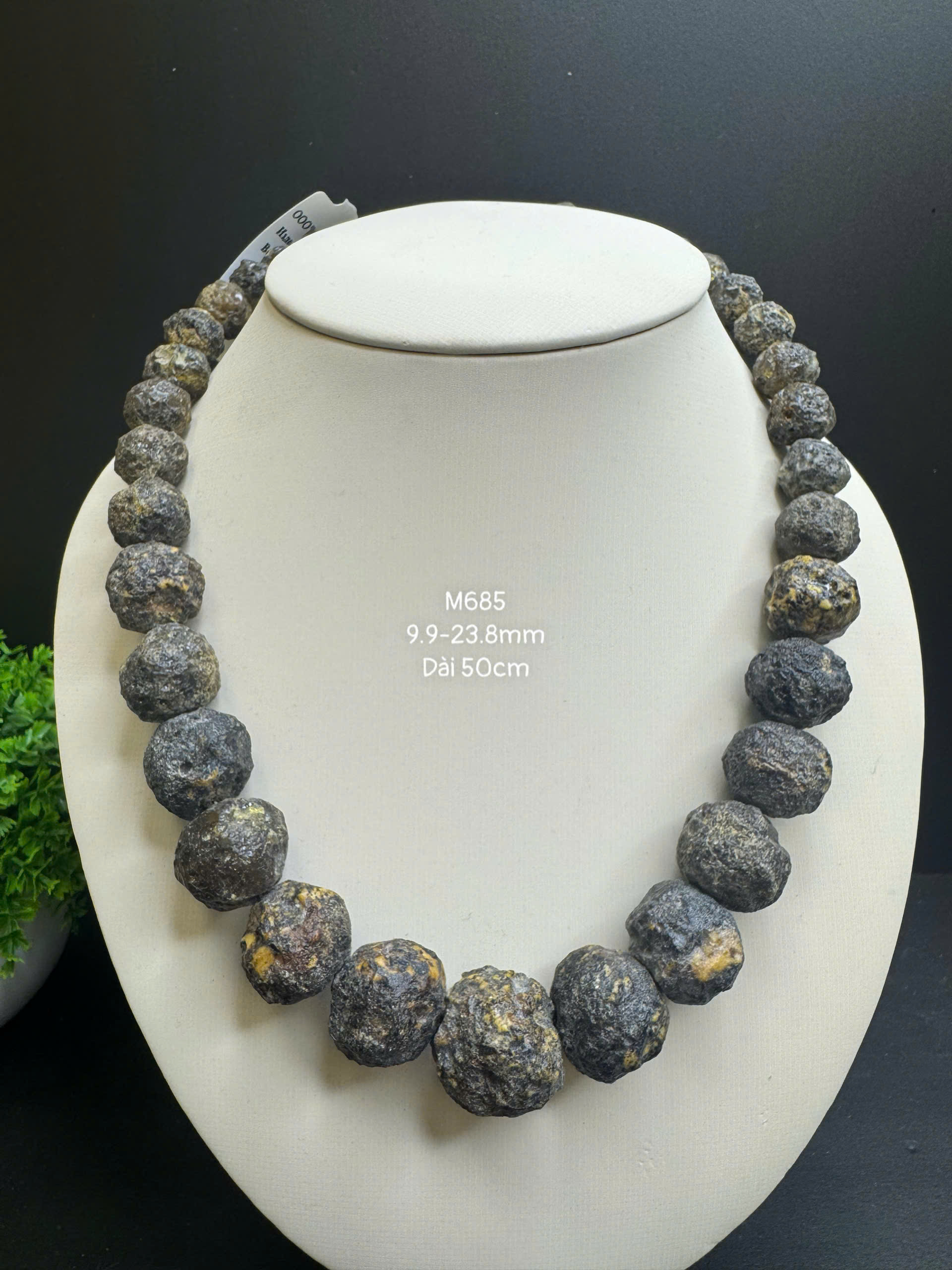 Vòng Cổ Thô Y Tế - M685