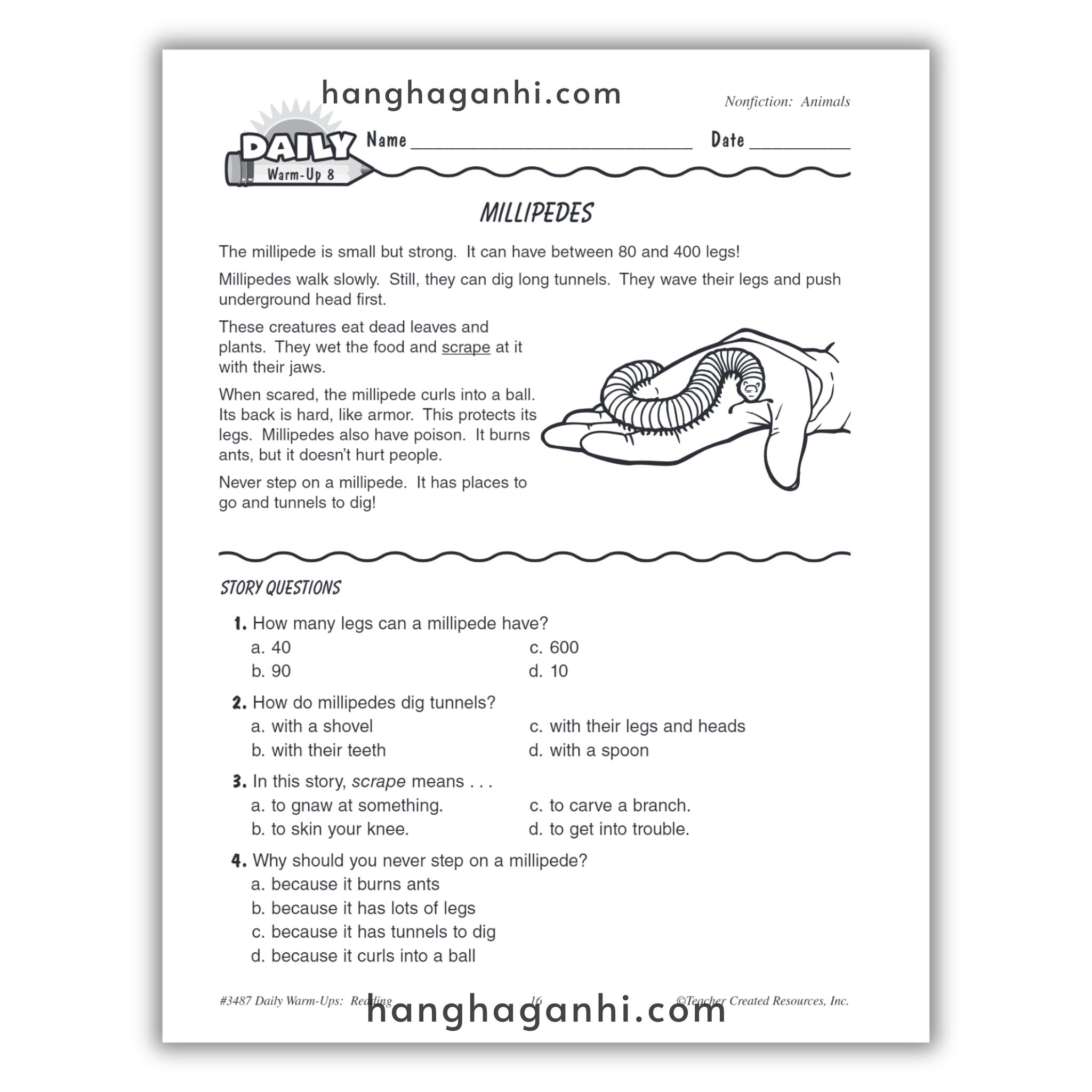 Sách Daily Warm Ups Reading Grade 1_thumbnail_7