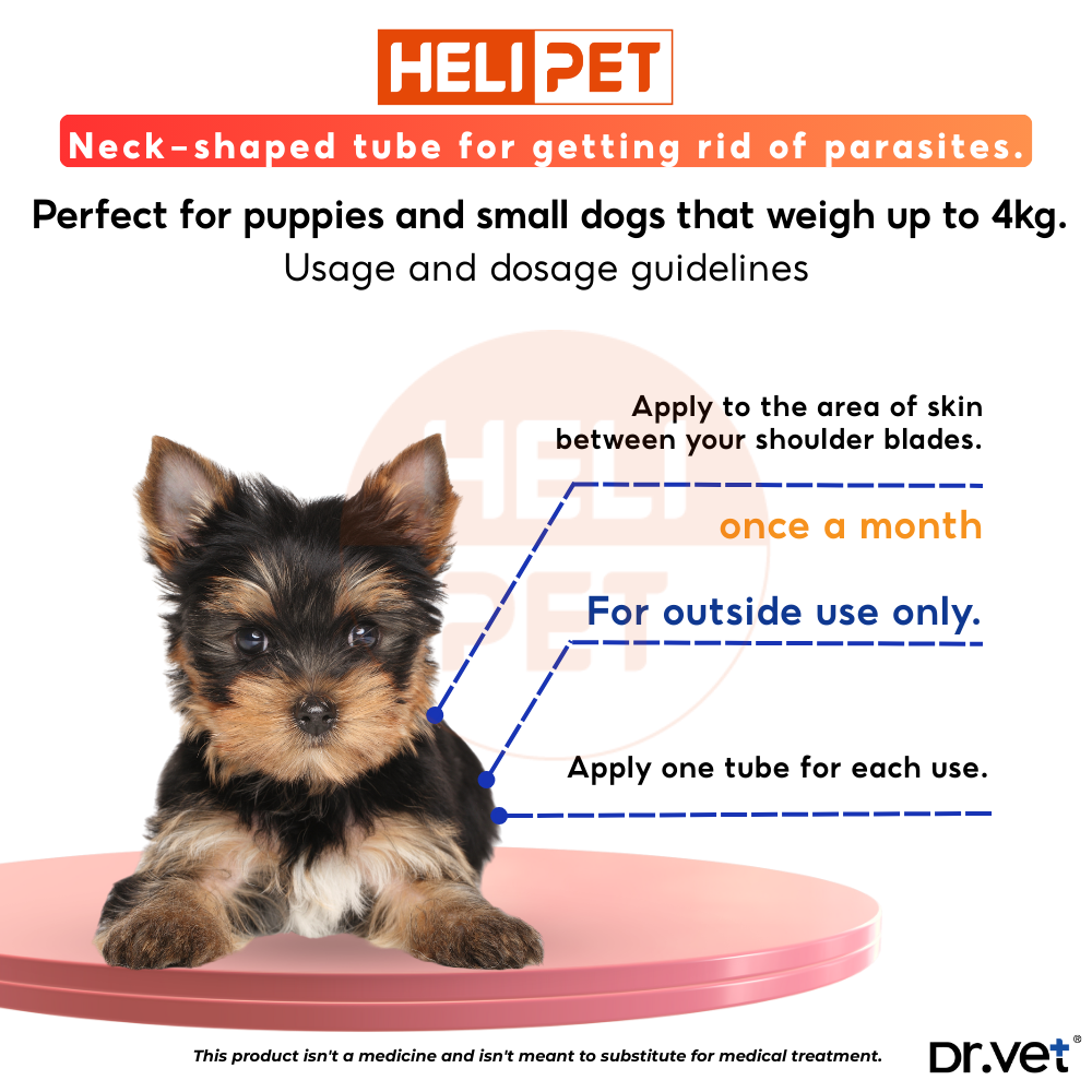 DR.VET flea, tick, and worm treatment drops for dogs._thumbnail_2