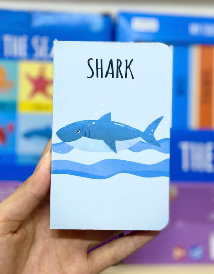 SHARK ( The Sea Library)