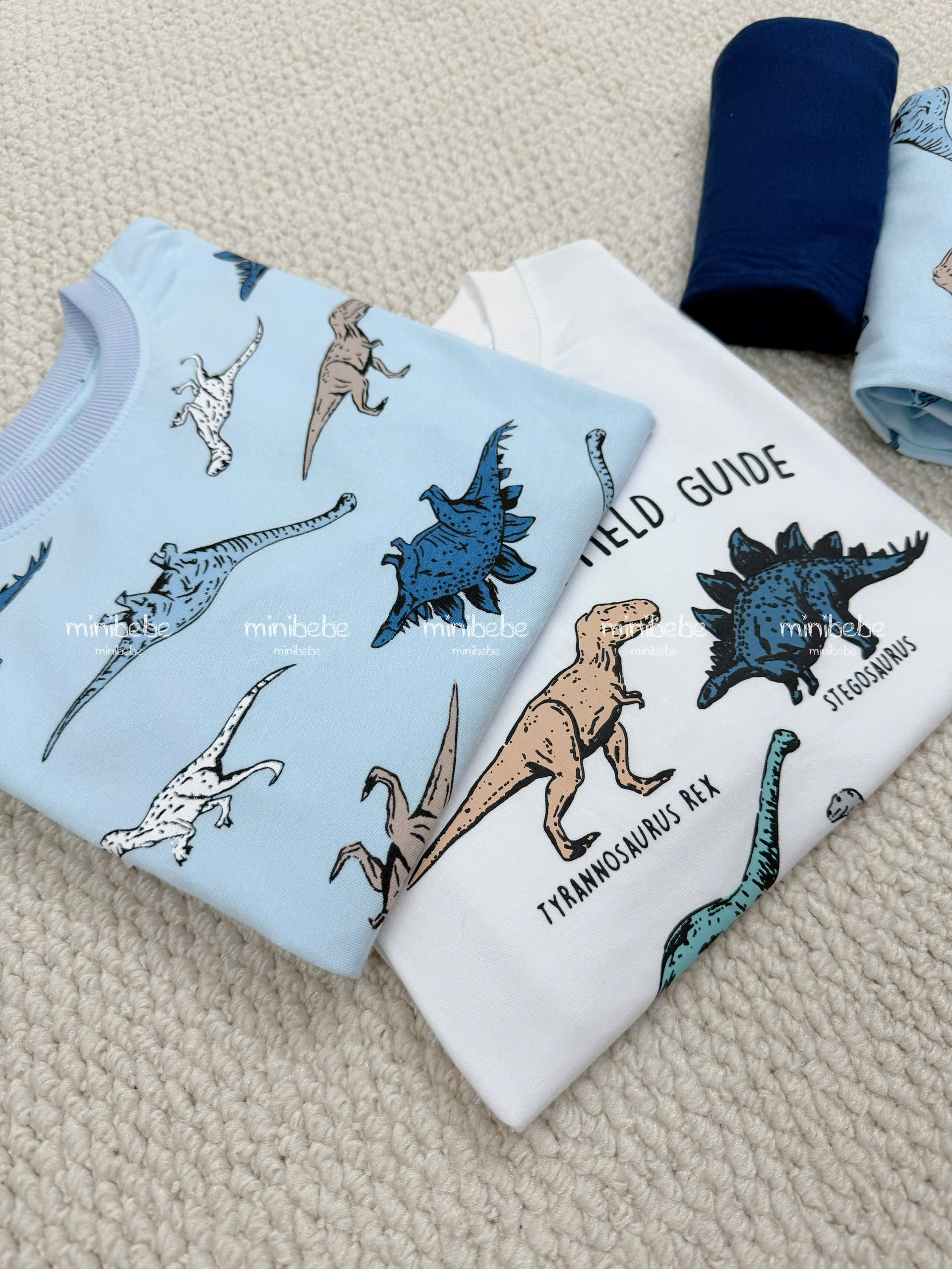 K40 SET 2 BỘ KHỦNG LONG TIỀN SỬ- A100.308