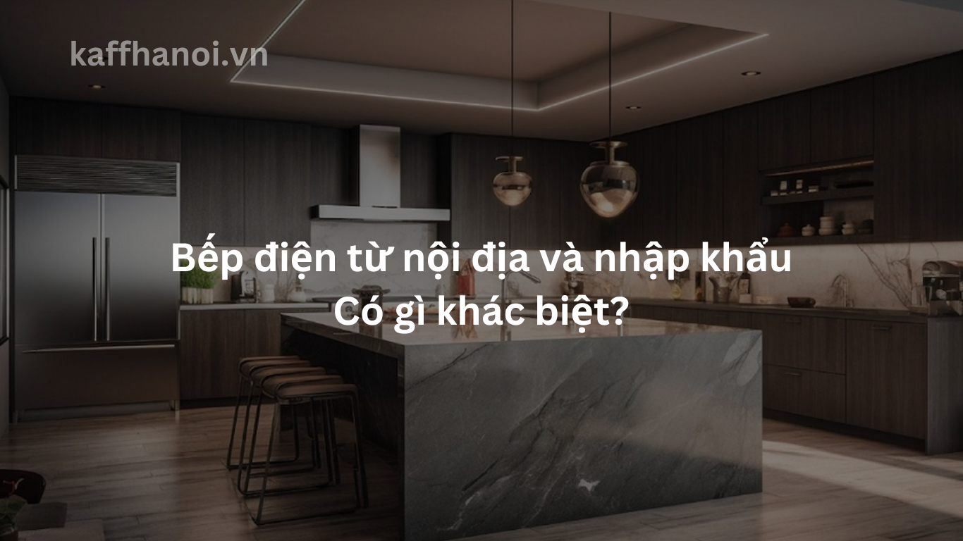 So sánh Bếp điện từ Nội địa và Nhập khẩu