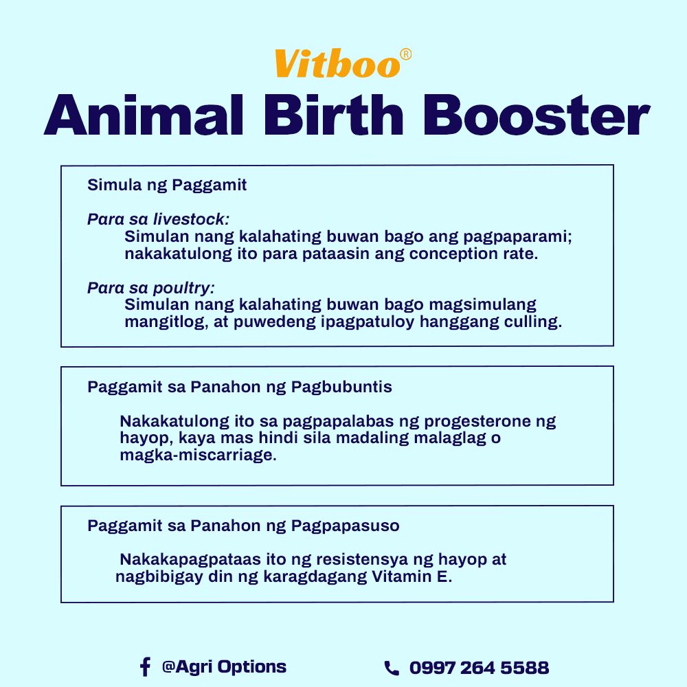 Animal Birth Booster_thumbnail_3