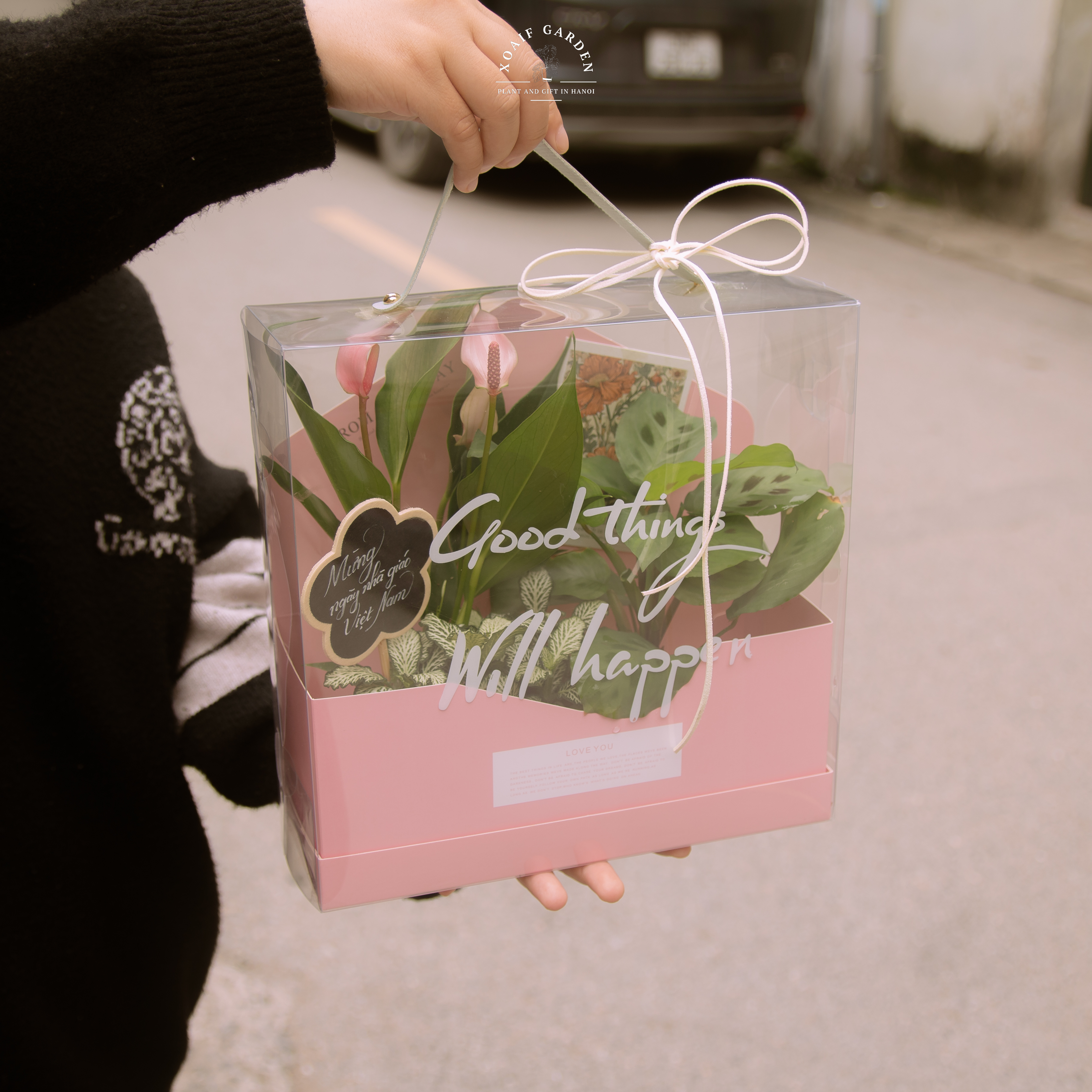 SET HỘP QUÀ CÂY MIX AN YÊN_thumbnail_5