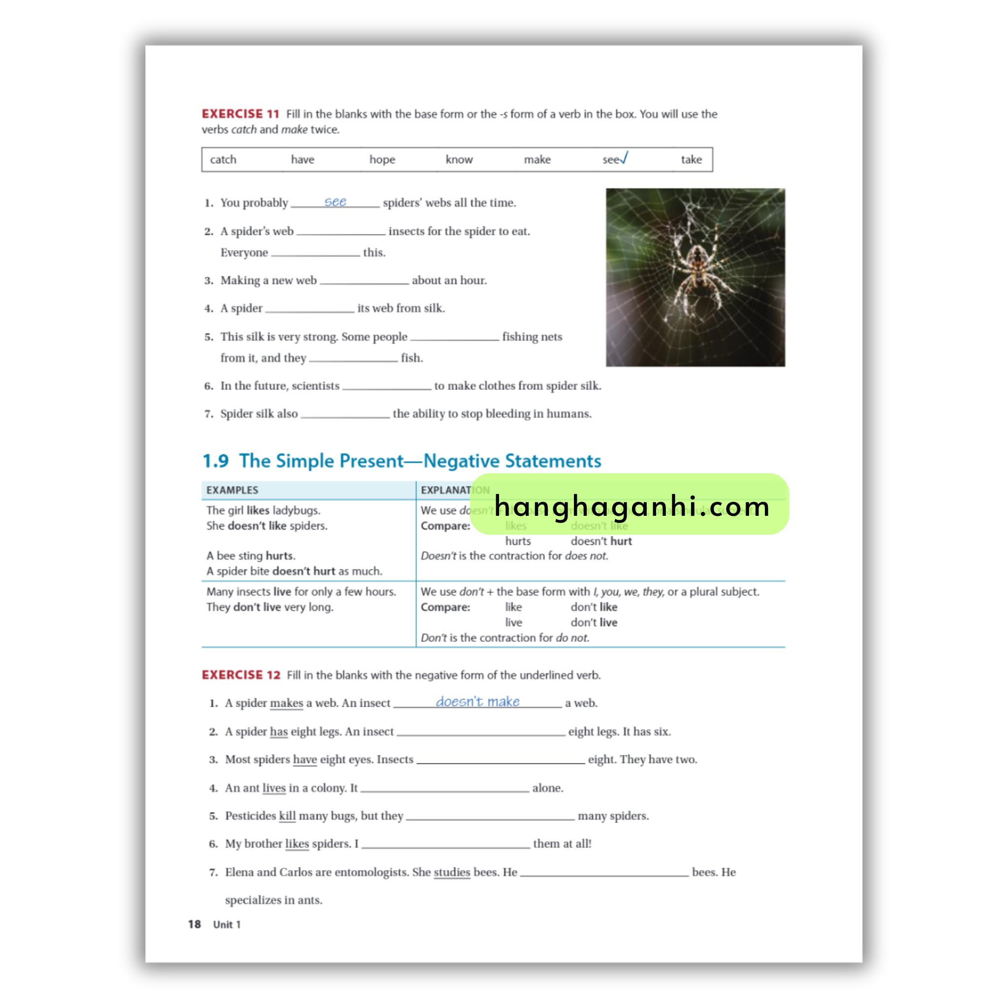 National Geographic Grammar In Context 2 (7Th Edition)_thumbnail_16