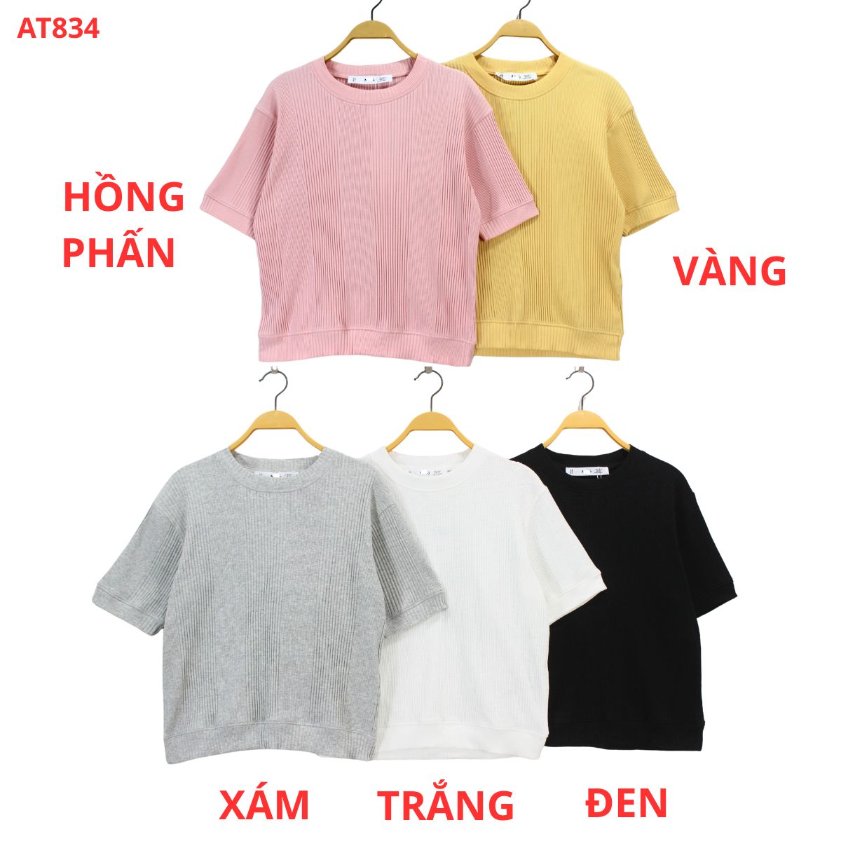 AT834-Áo thun gân_thumbnail_2