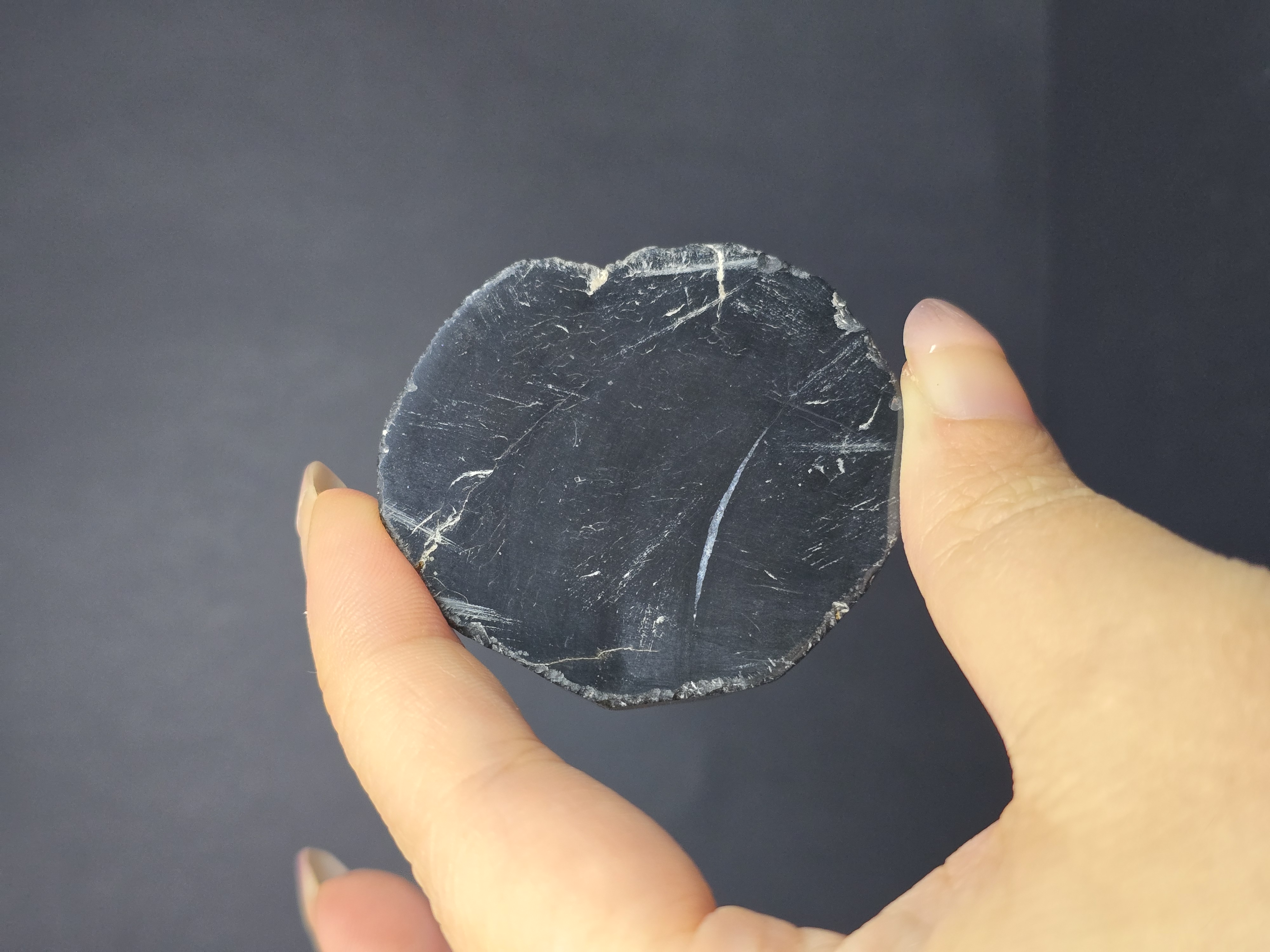 Gỗ Hóa Thạch Đã Được Mài Bóng 2 Mặt_thumbnail_3