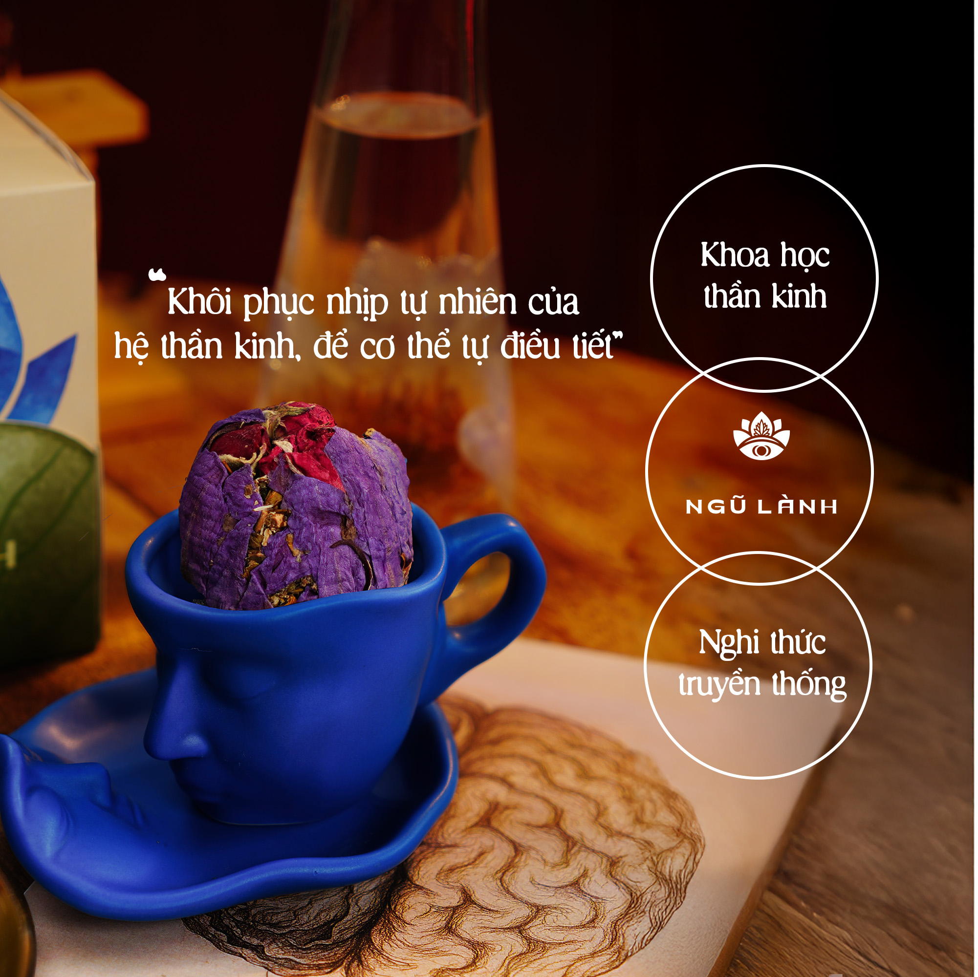 Trà Ngũ Lành - Giảm Căng Thẳng & Điều Hòa Thần Kinh & Ngủ Sâu Tự Nhiên | Natural’s Heal_thumbnail_2