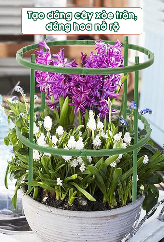 Khung Đỡ Bảo Vệ Cây_thumbnail_4