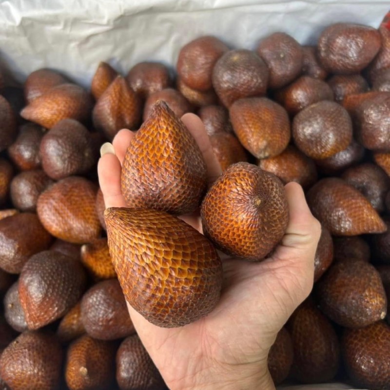 Mây Bali_thumbnail_2