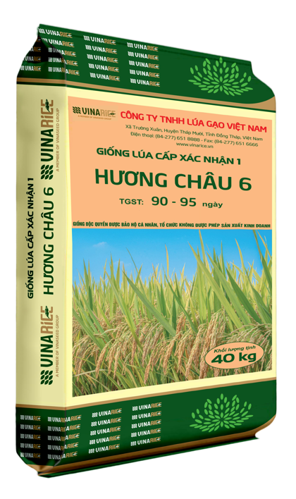 High quality pure rice variety Huong Chau 6