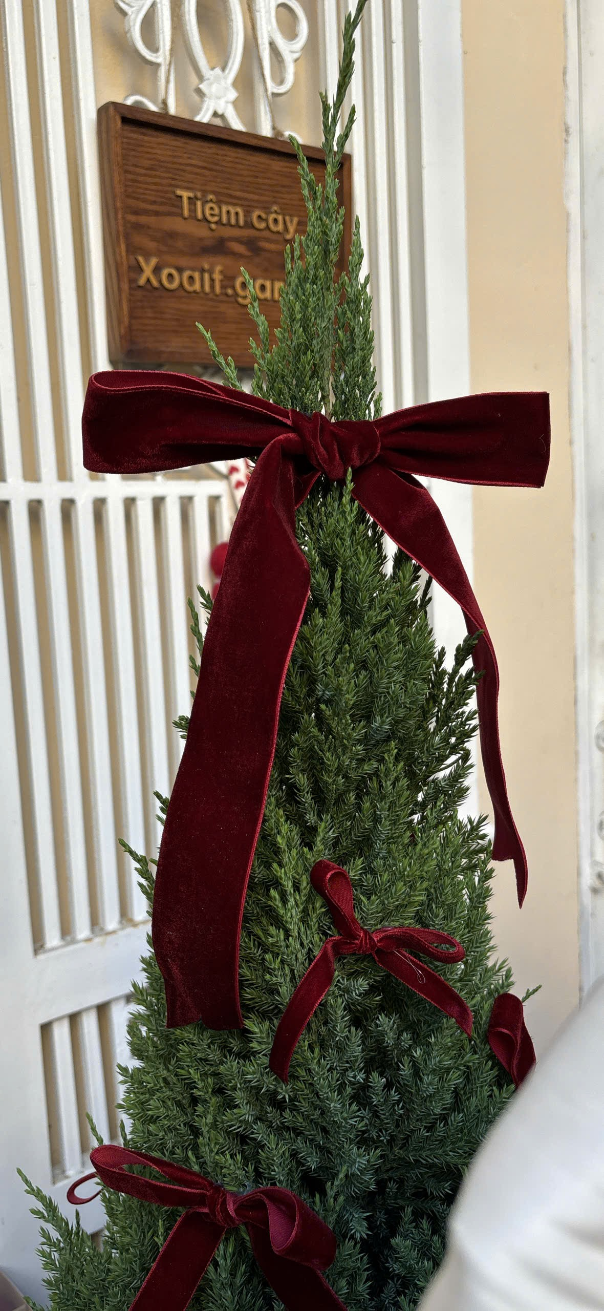 PHỤ KIỆN GIÁNG SINH (LẺ)