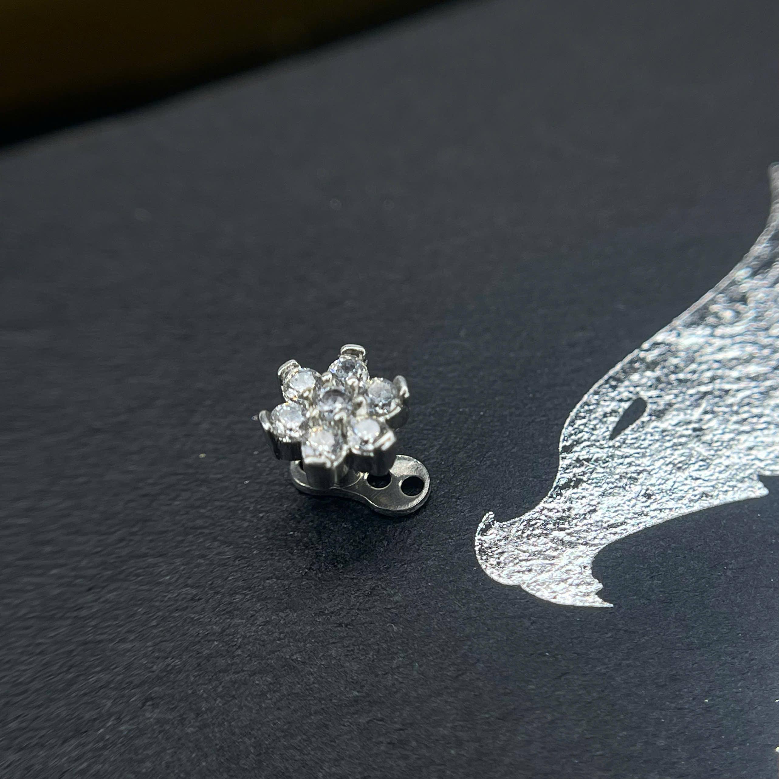 Khuyên cấy thép hoa trắng