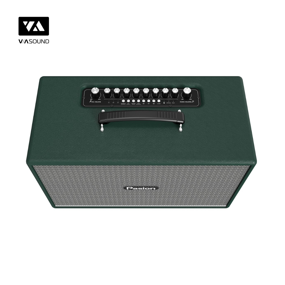 Loa Xách Tay PARAMAX PASION ENZO_thumbnail_13