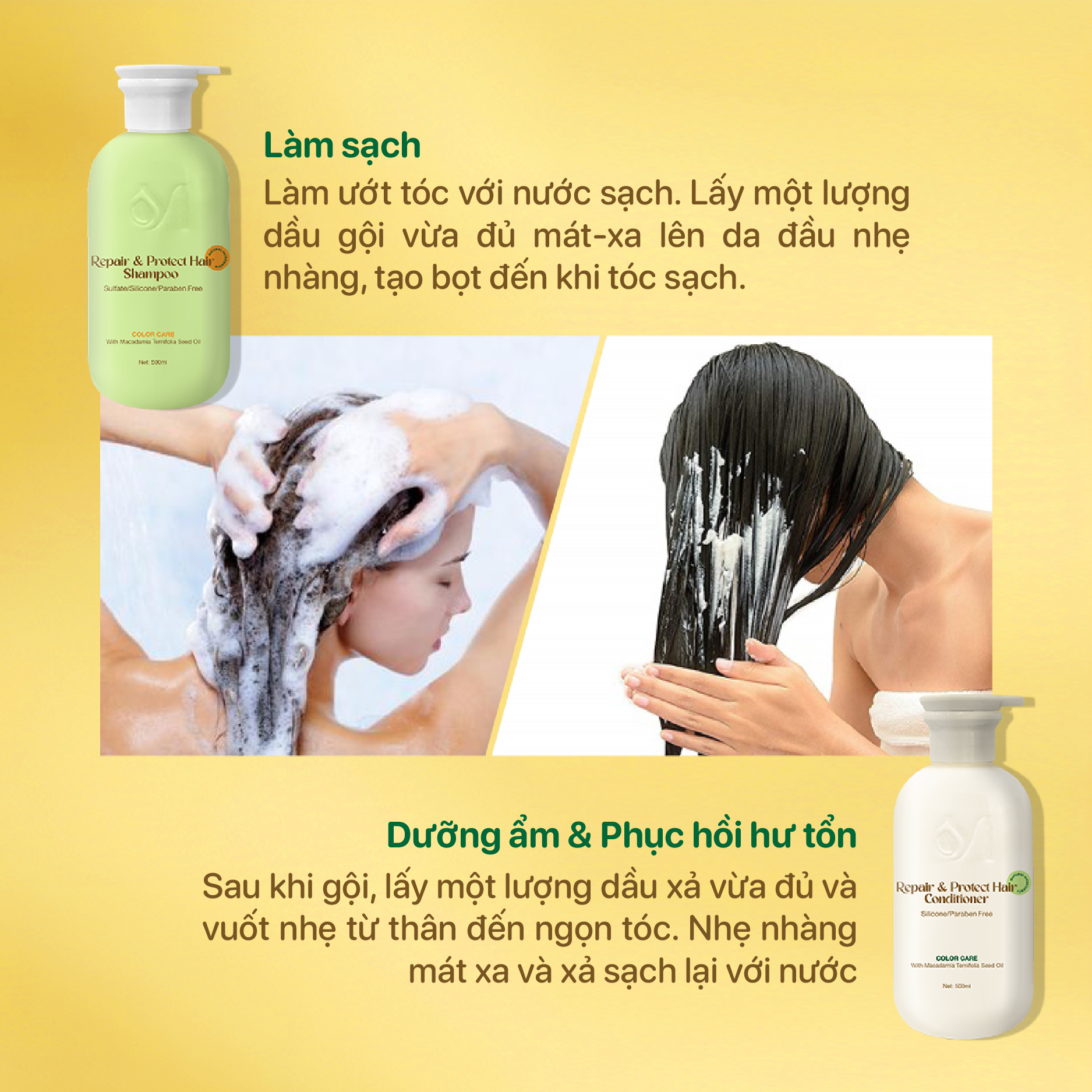 Dầu gội Dưỡng Tóc Mắc Ca MACALAND 500ml dưỡng tóc chắc khỏe, phục hồi hư tổn_thumbnail_5