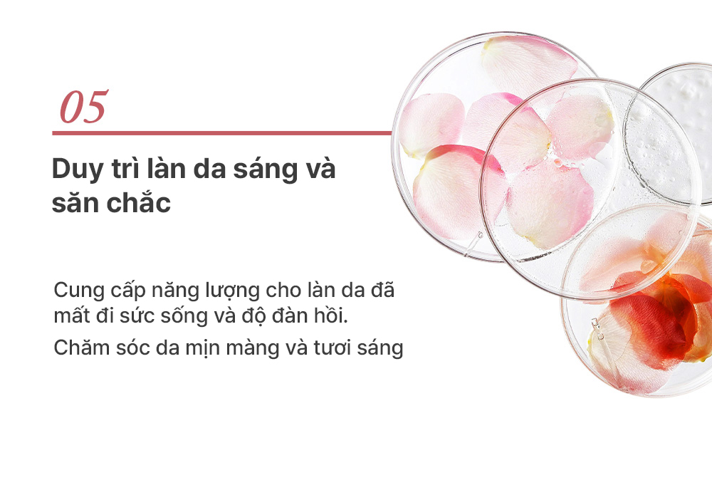 Tinh Chất Dưỡng Chống Lão Hóa, Giúp Da Sáng Mịn Đàn Hồi Cấp Ẩm Elravie Pro Glow Ampoule 50ml_thumbnail_7