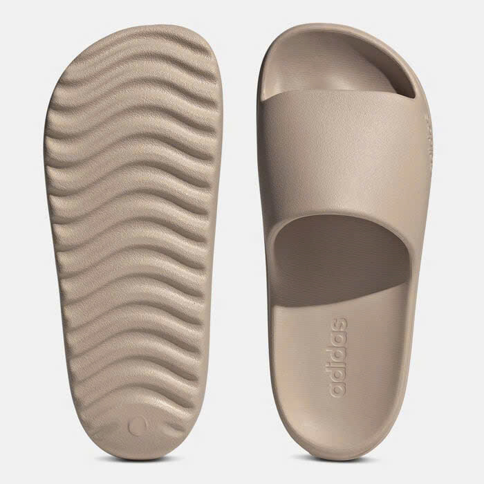 D2 DÉP 4 MÀU_thumbnail_2