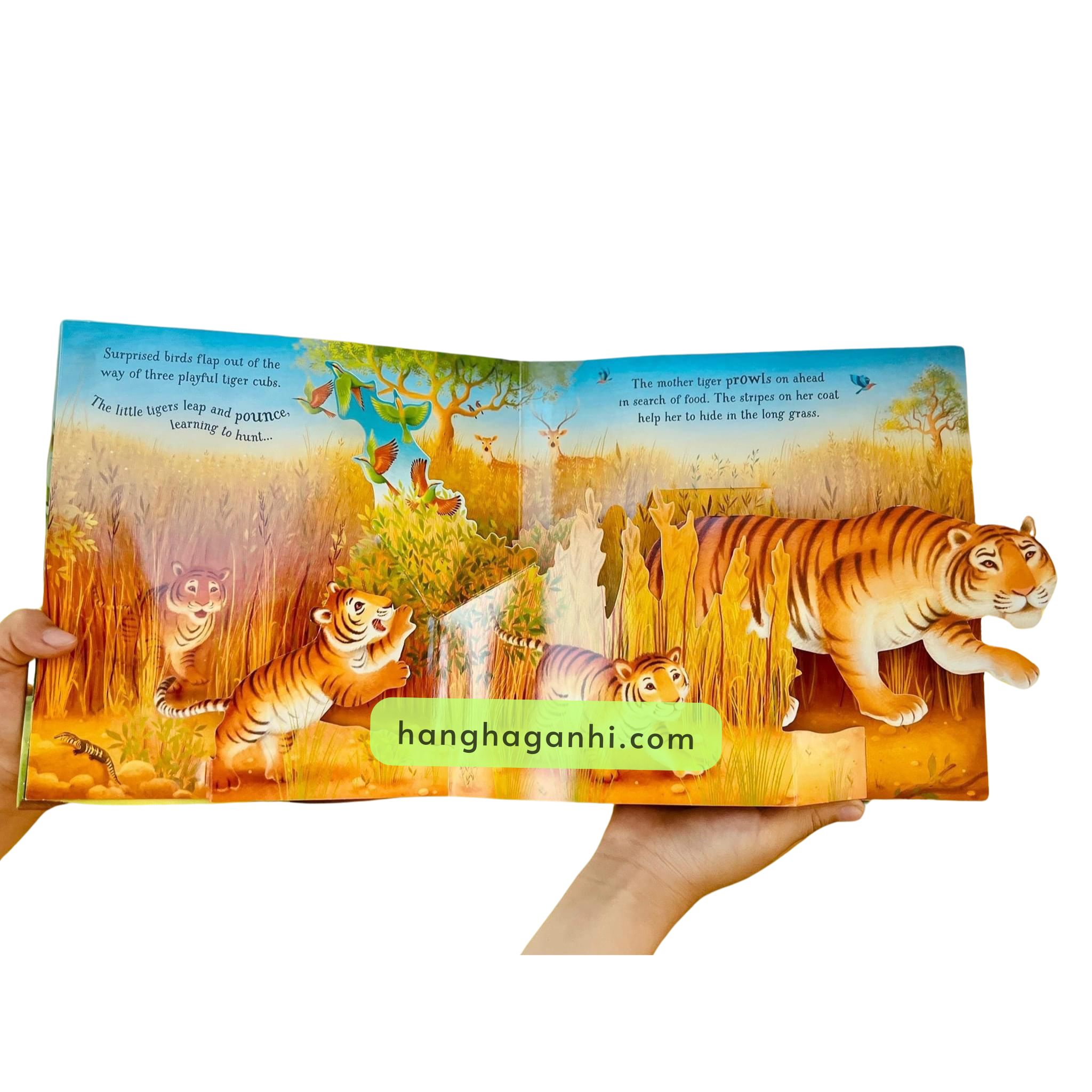 Usborne Popup Animals_thumbnail_3