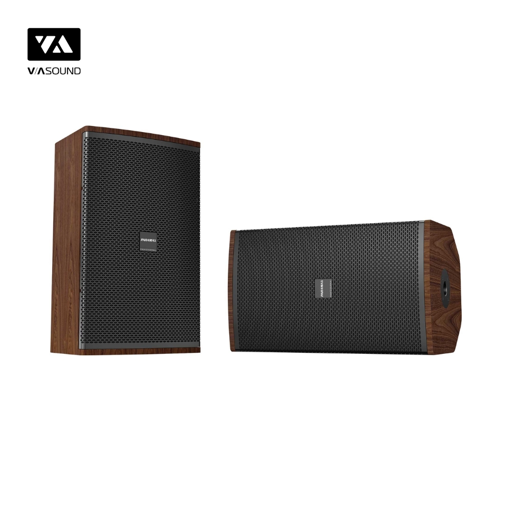 Loa Karaoke PARAMAX CLASSE 30