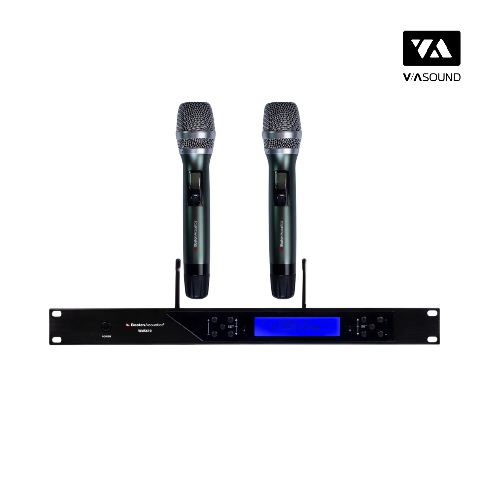 Micro BOSTON ACOUSTICS WMS610