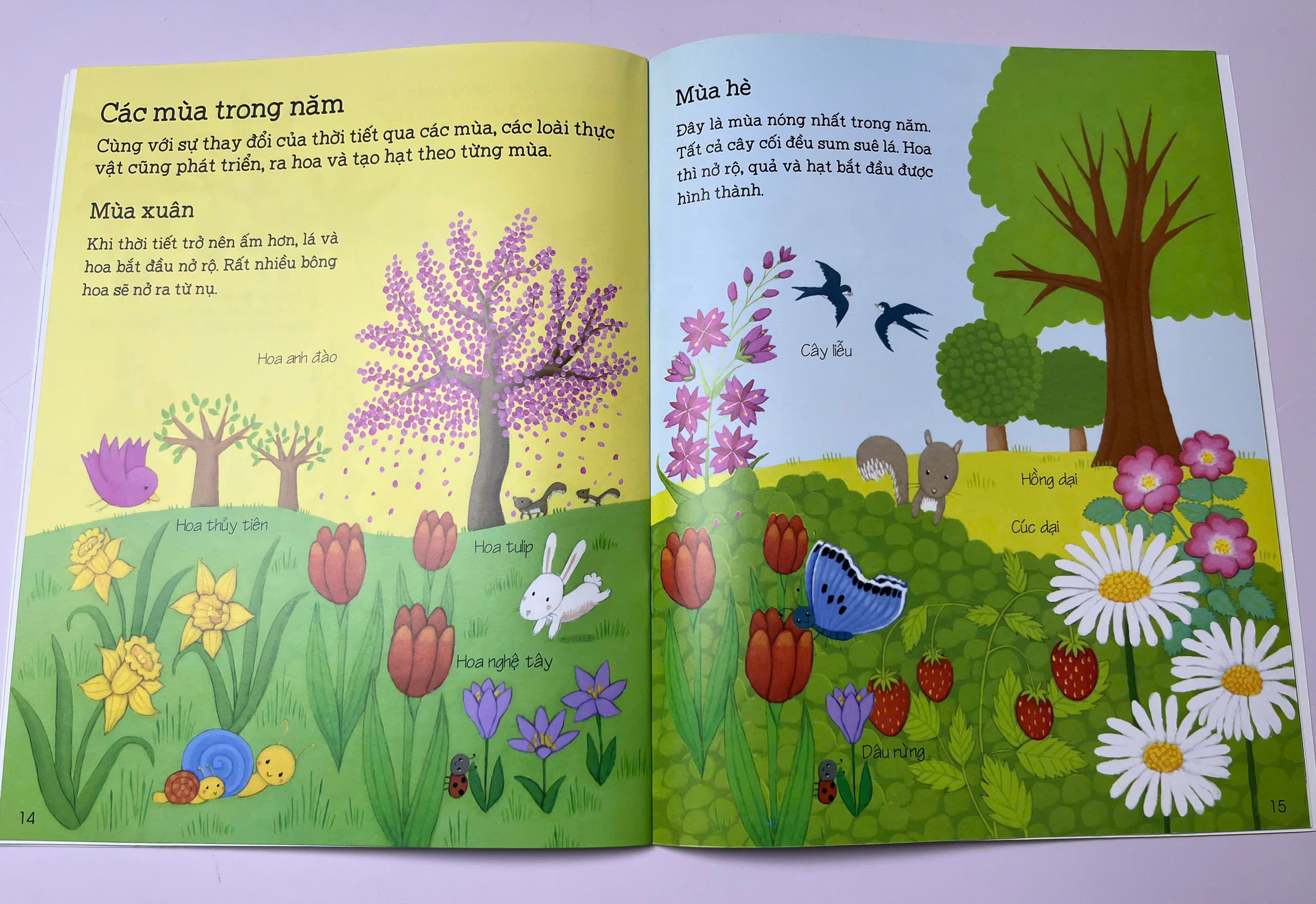 Combo 3 cuốn Thế Giới Trong Tay Em_thumbnail_9