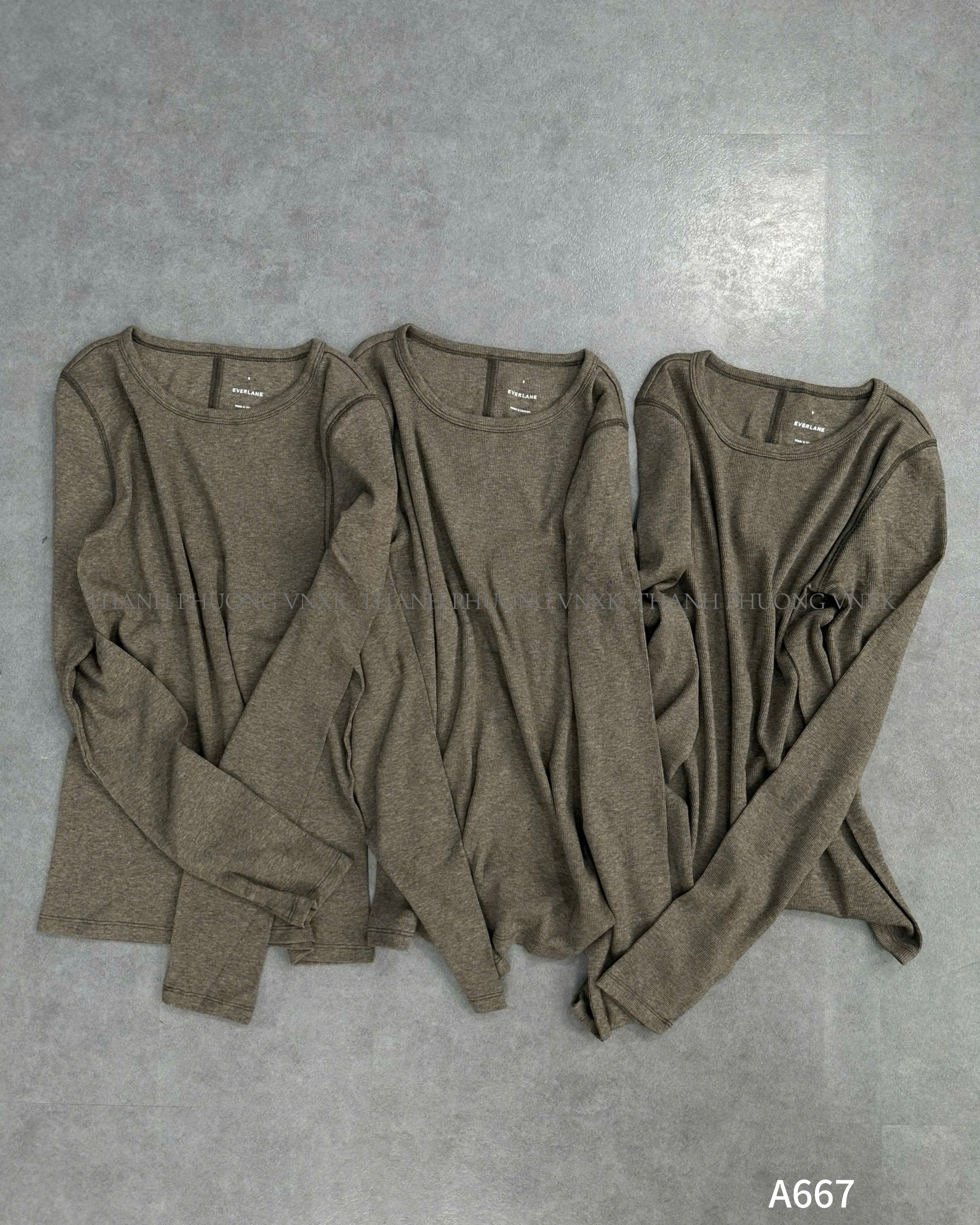 AO NU EVER A667 (L3-2)_thumbnail_4