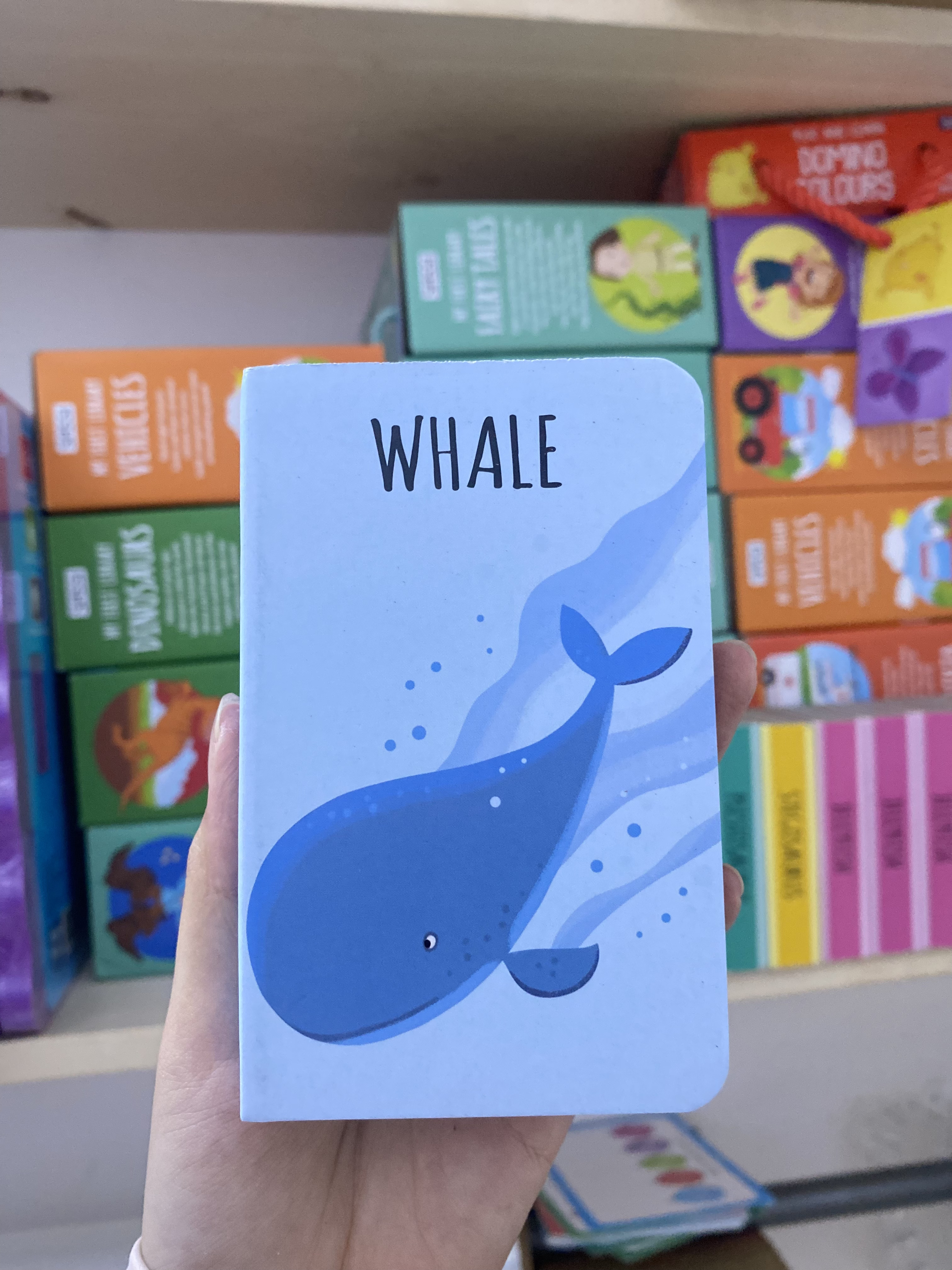 WHALE (The Sea Library)