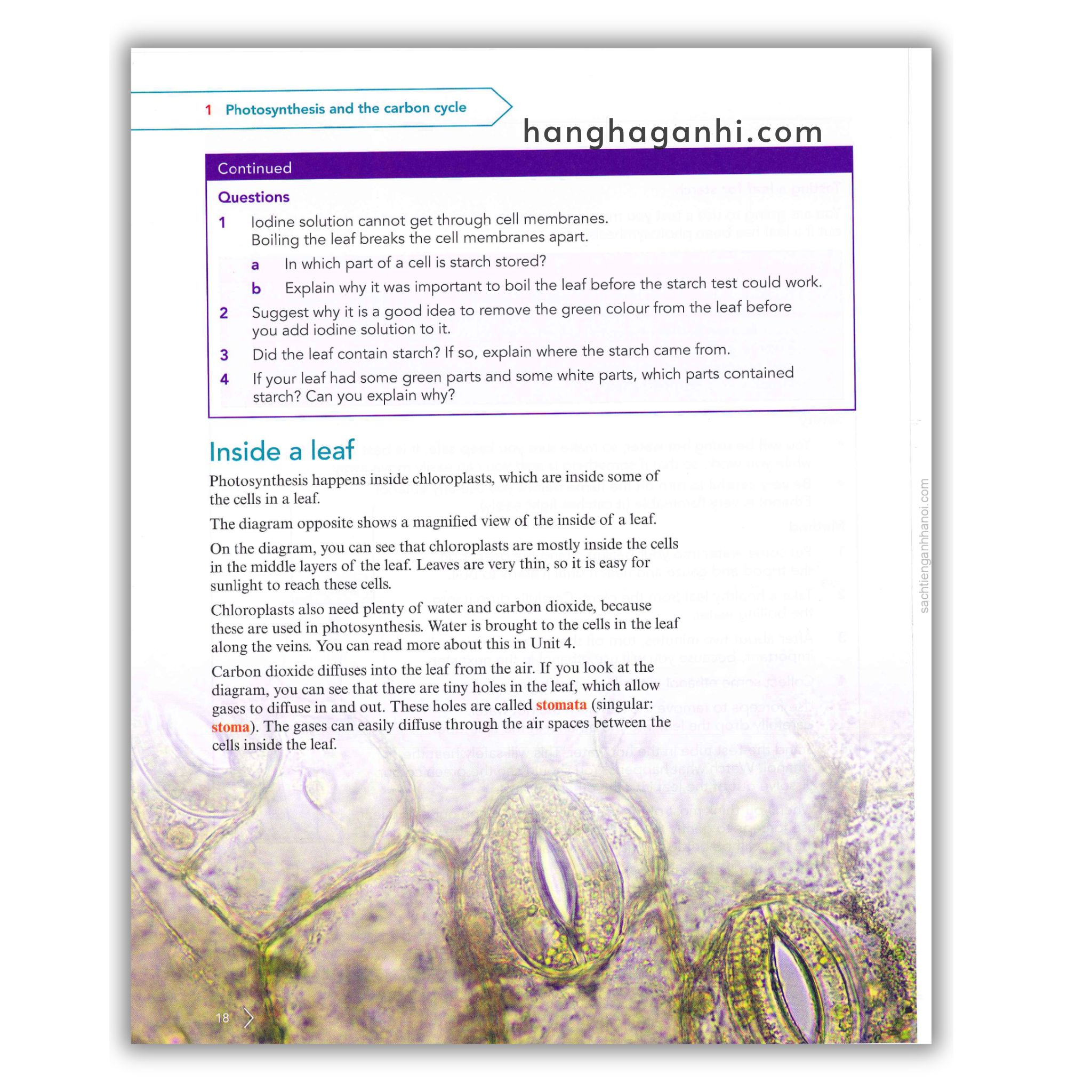 Cambridge Level 9 Lower Secondary Science Learner’s Book 2nd Edition 2021_thumbnail_11