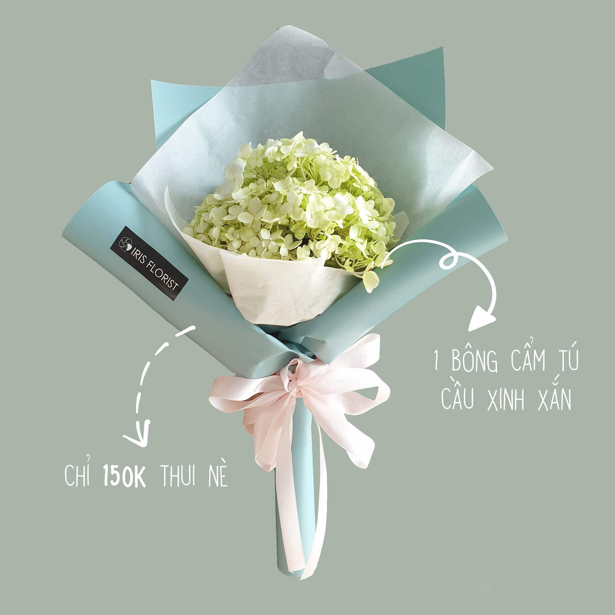 Tú cầu xanh Đà Lạt