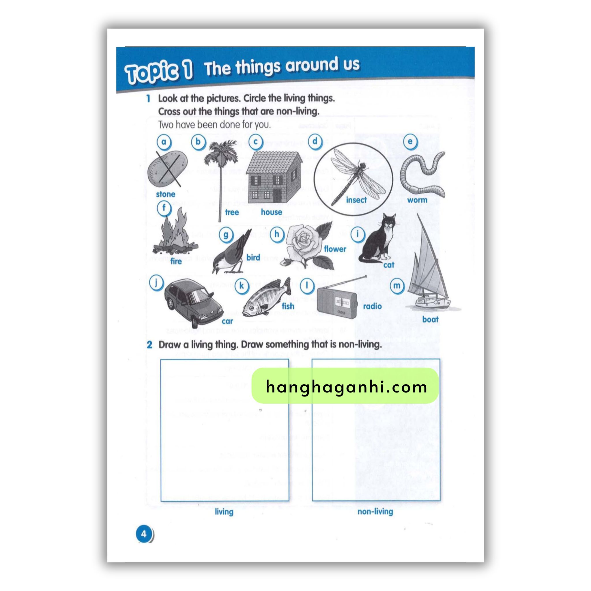 Macmillan Science 1 Workbook_thumbnail_12