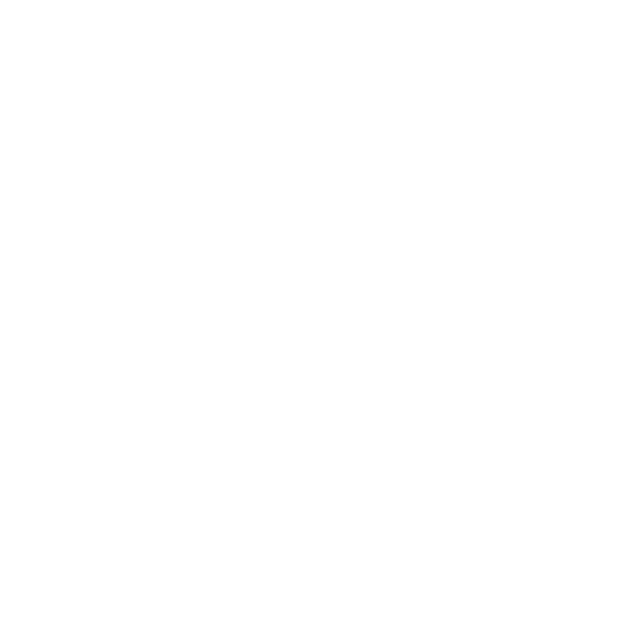 icon_website_VELA_v copy 2