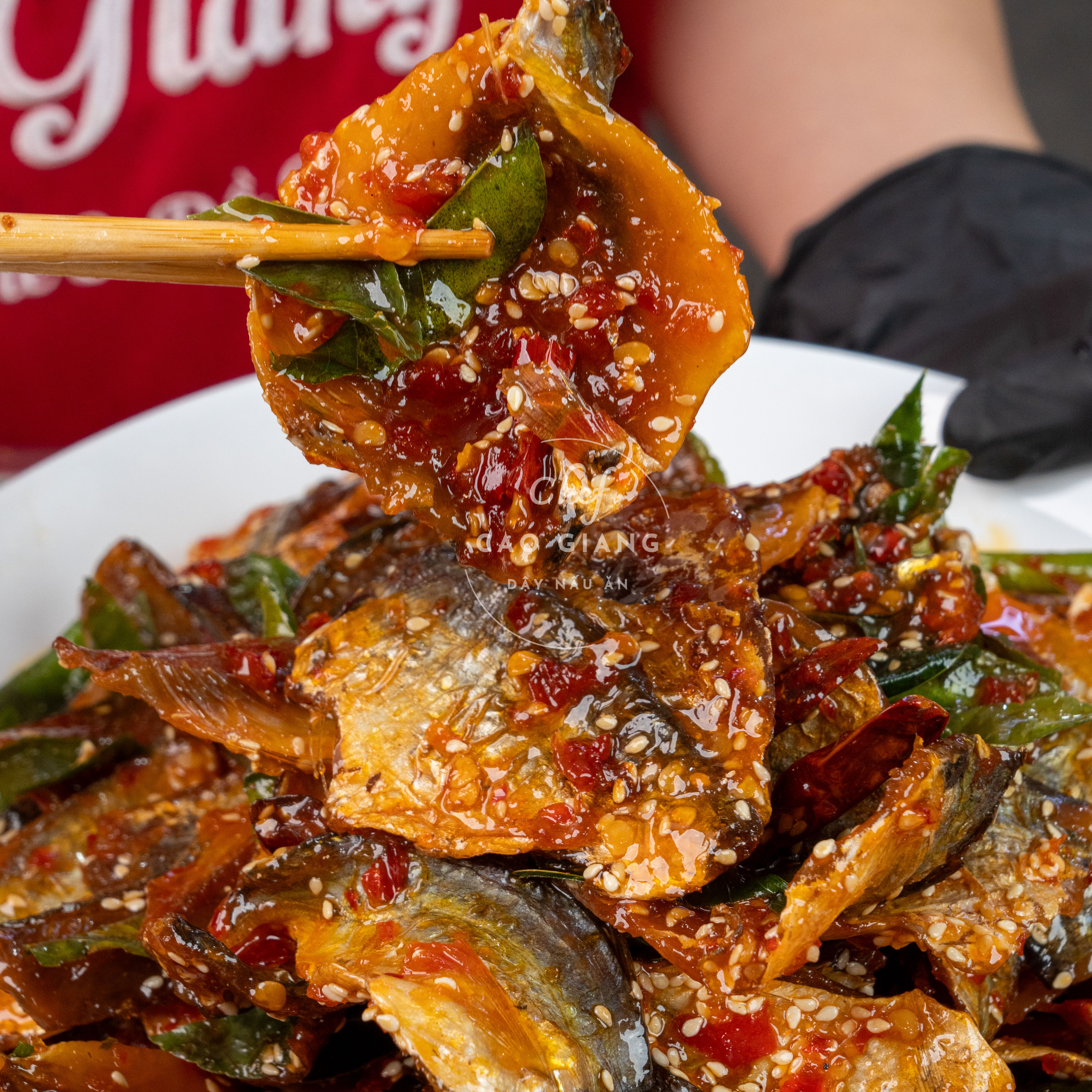 Lớp Cá Cơm Xóc Lạc_thumbnail_4