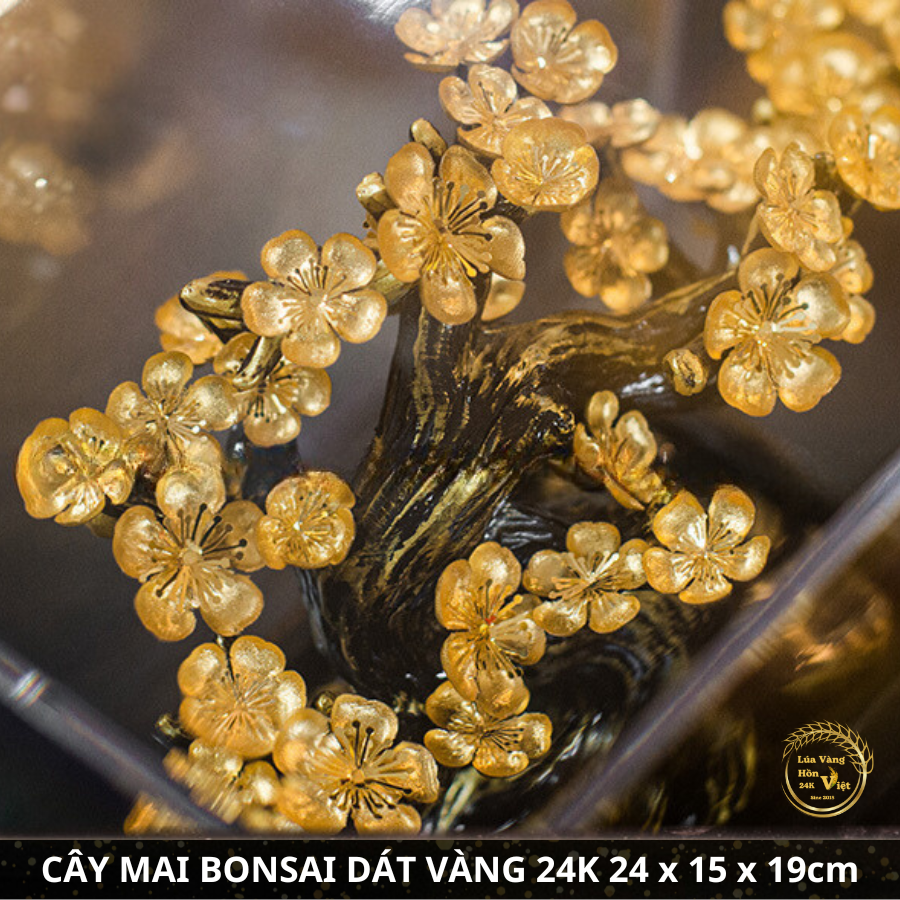CÂY MAI BONSAI DÁT VÀNG 24K 24x15x19cm_thumbnail_4