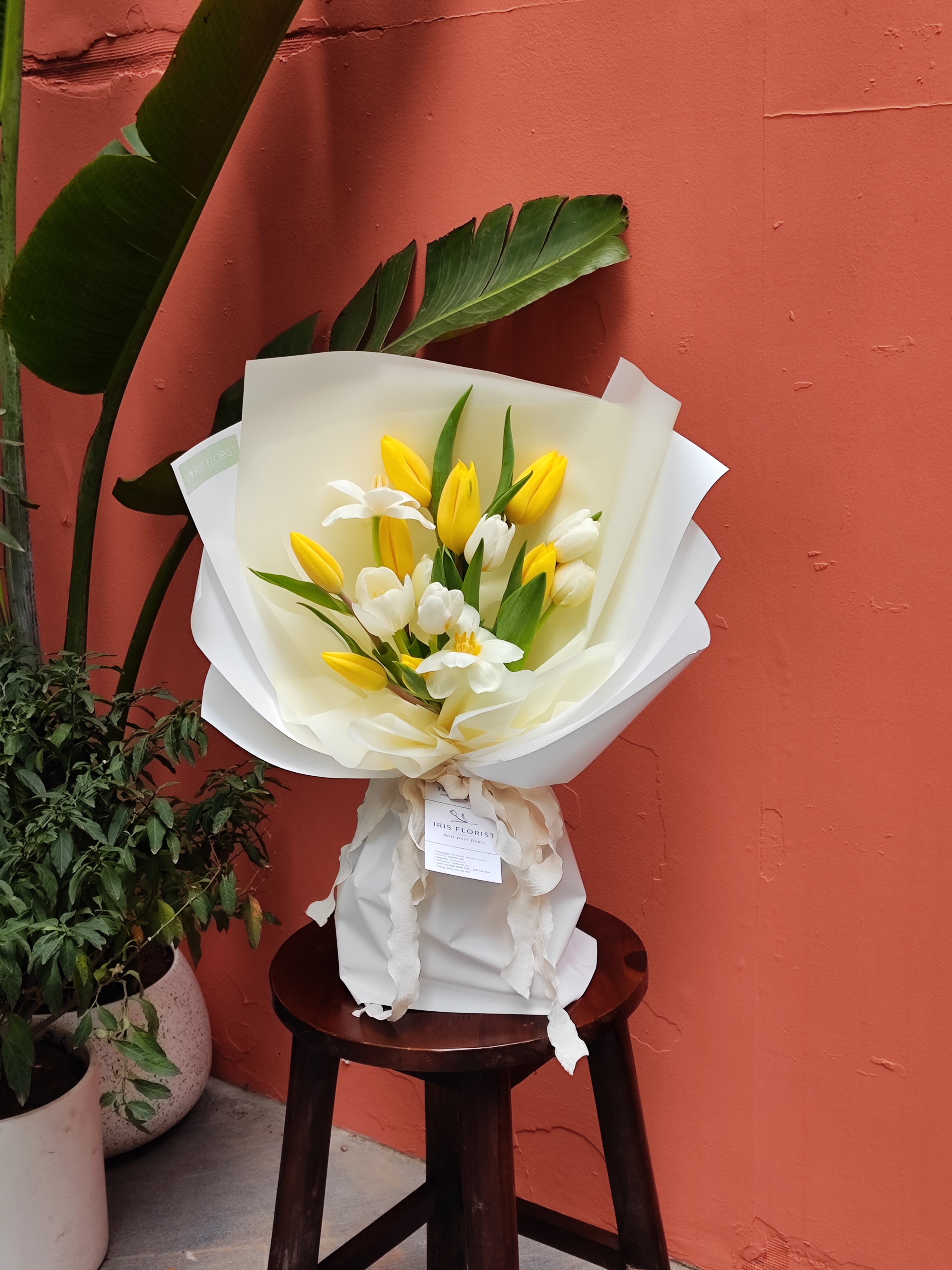 Bó tin nhắn - Tulip Trắng mix vàng - Set 16B