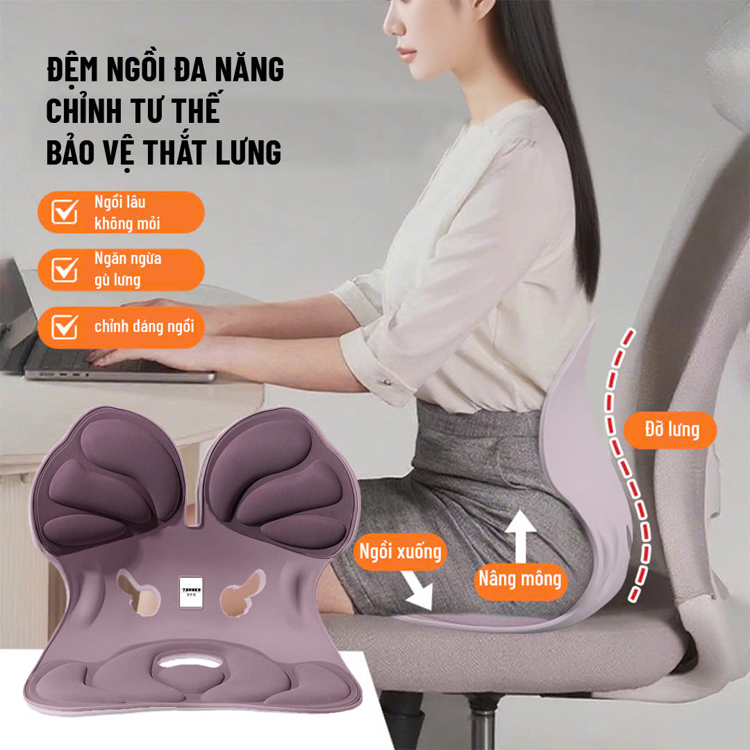 Ghế CURBLE Chỉnh Dáng Ngồi TANAKA