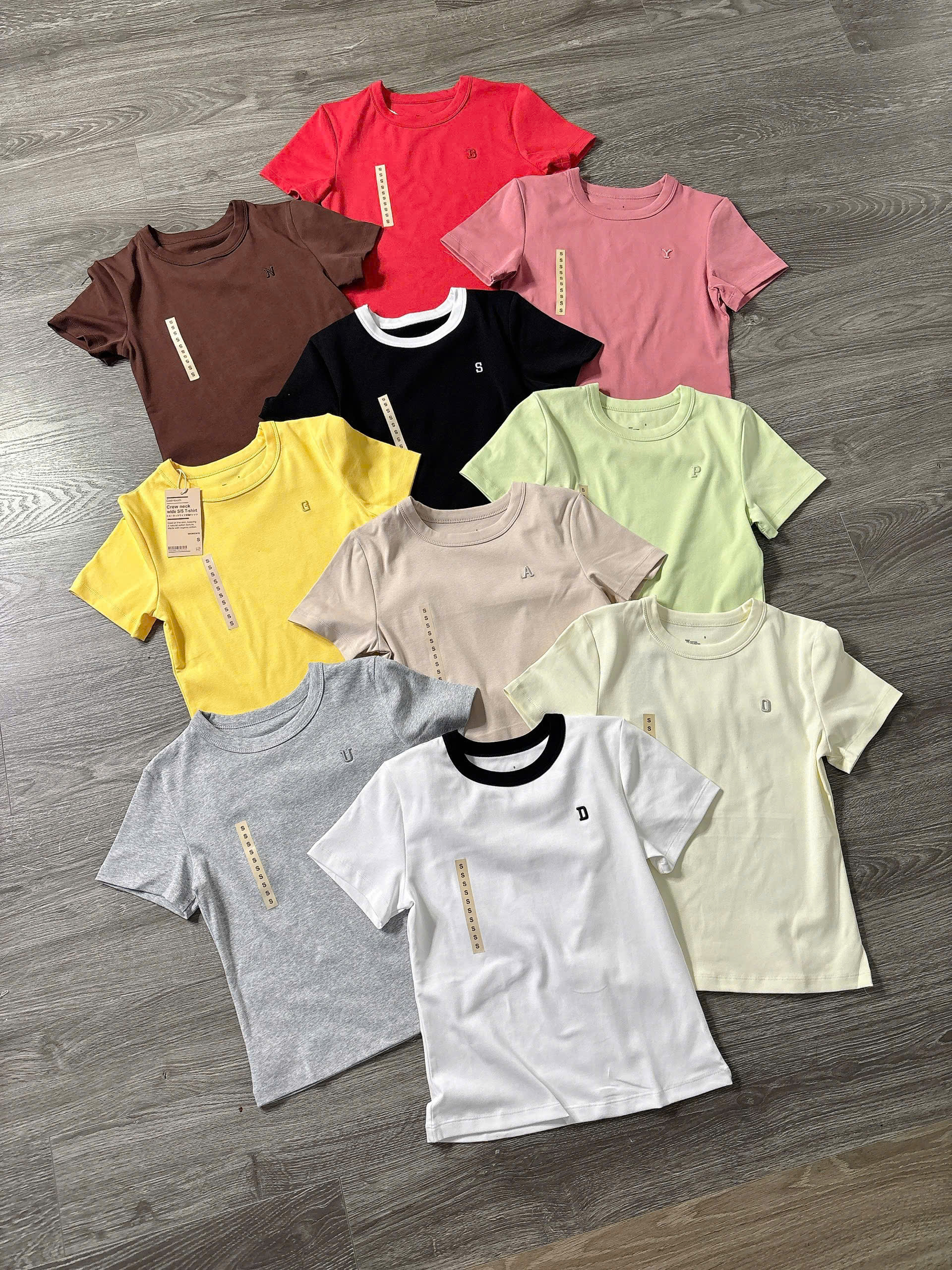 A81 ÁO THUN 10 MÀU