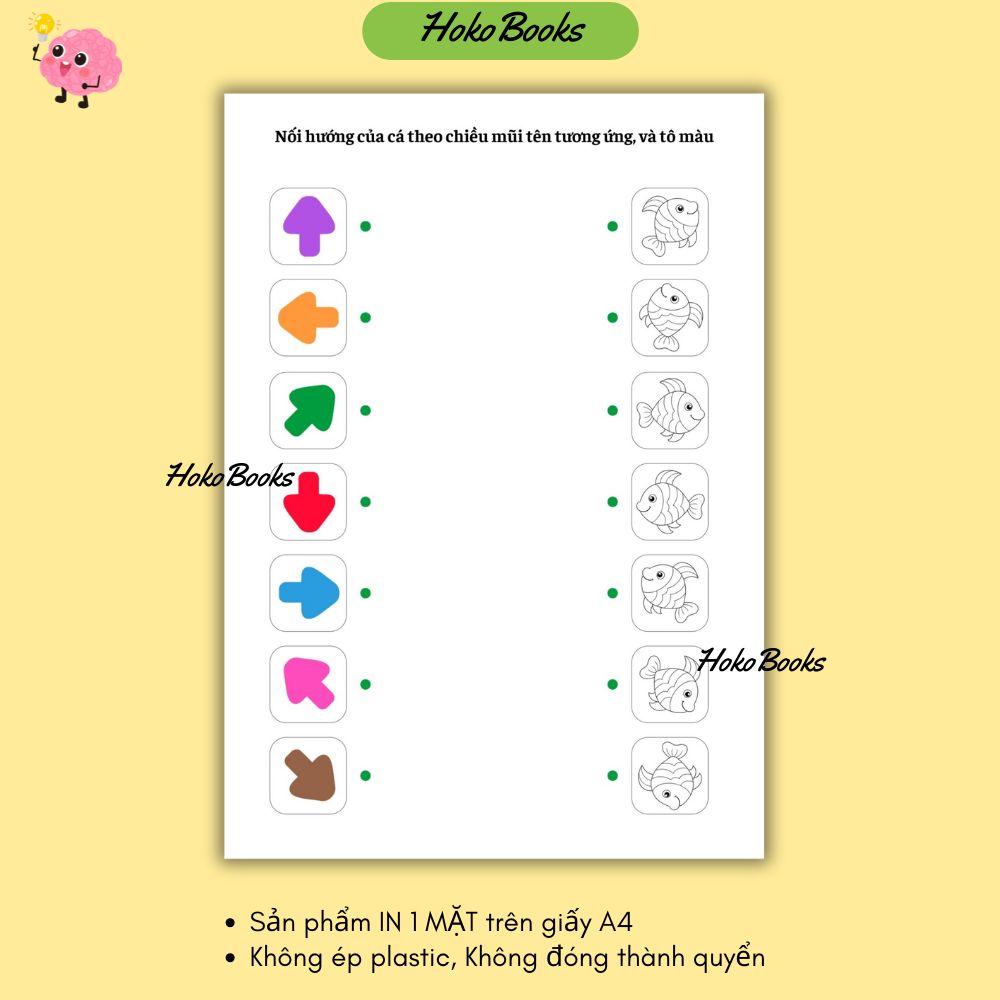 HL3 Bộ 23 tờ Học liệu định vị hướng IN A4 1 MẶT, KHÔNG ÉP PLASTIC, KHÔNG ĐÓNG QUYỂN_thumbnail_7
