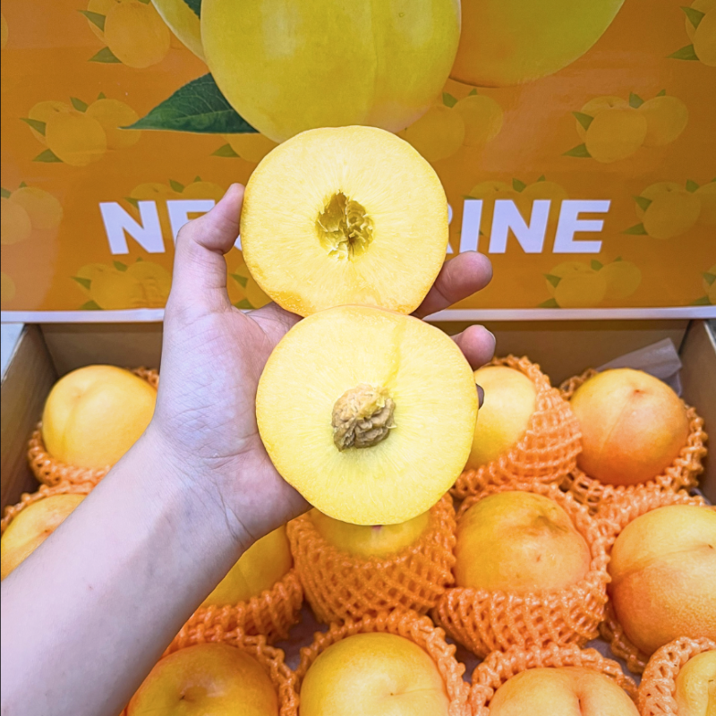 Đào Vàng (Nội Địa Trung)_thumbnail_3