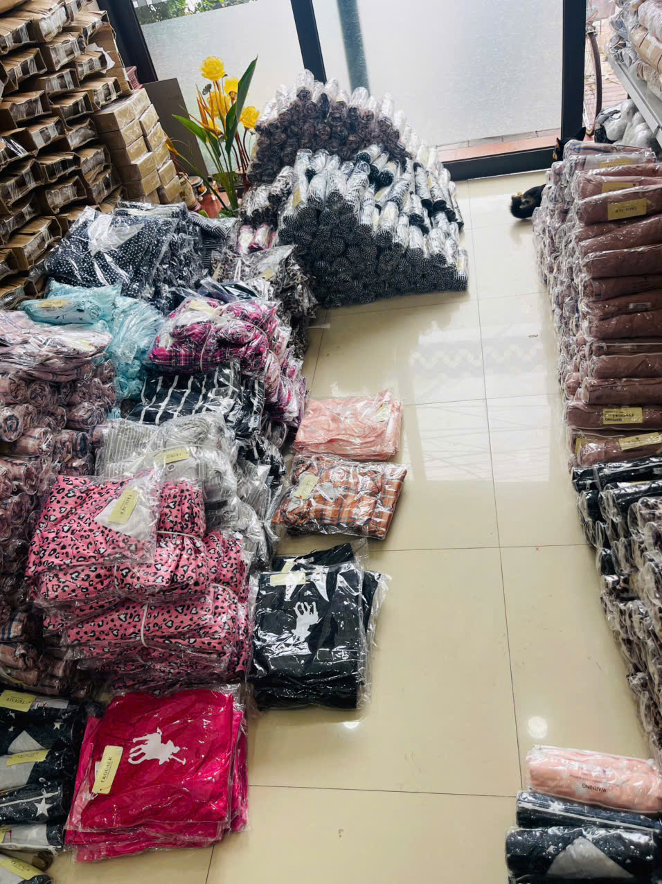 S176- Set bộ thun_thumbnail_6