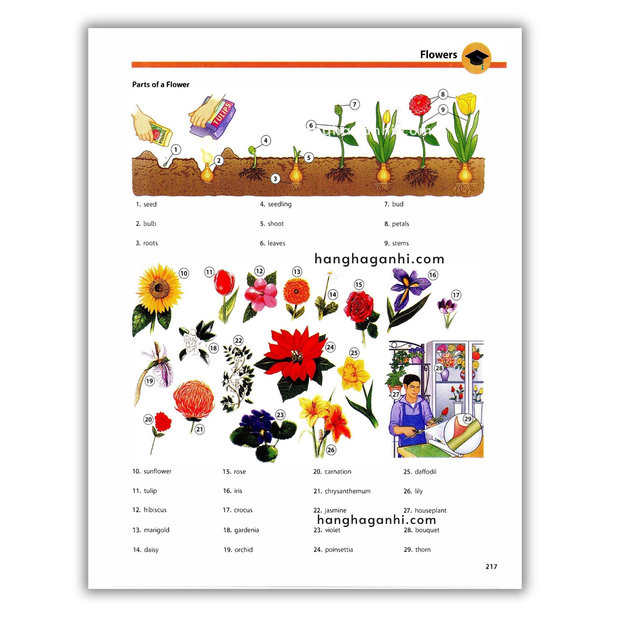Oxford Picture Dictionary Third Edition: Từ điển Tiếng Anh_thumbnail_4