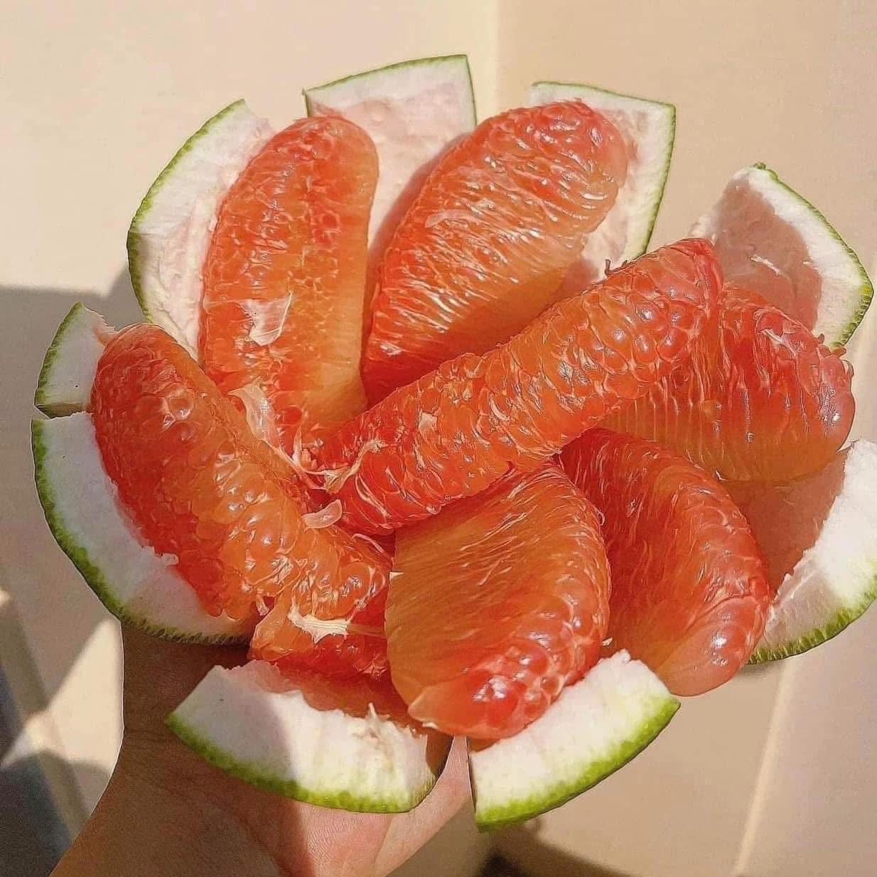 Bưởi Lão Da Xanh Ruột Đỏ_thumbnail_1