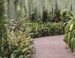 gallery1-r-292x225-1