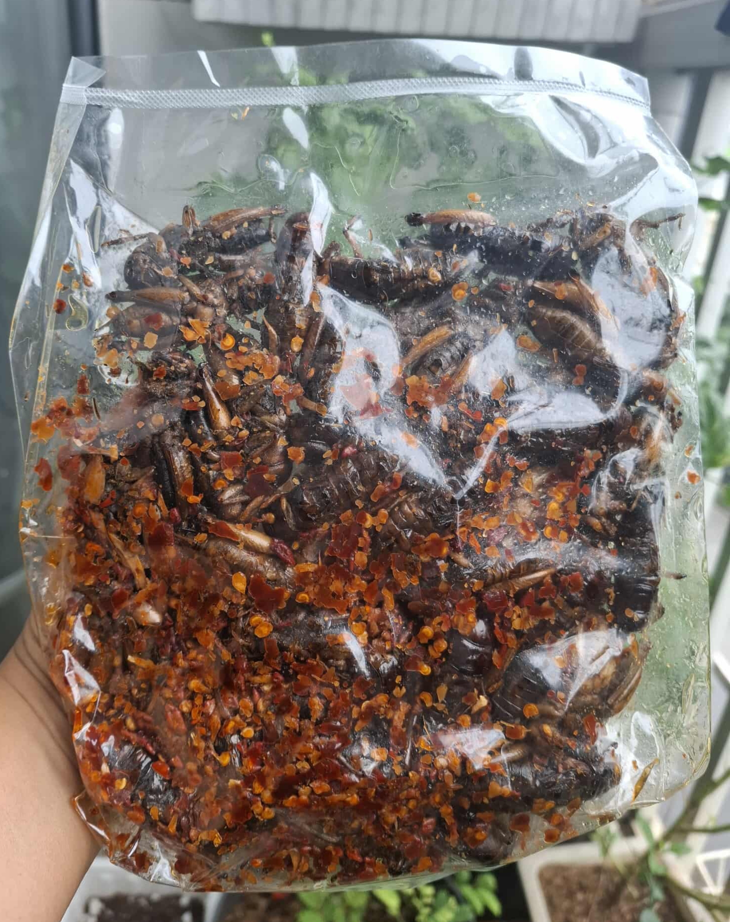 Foodbox ပုရစ်ကြော်