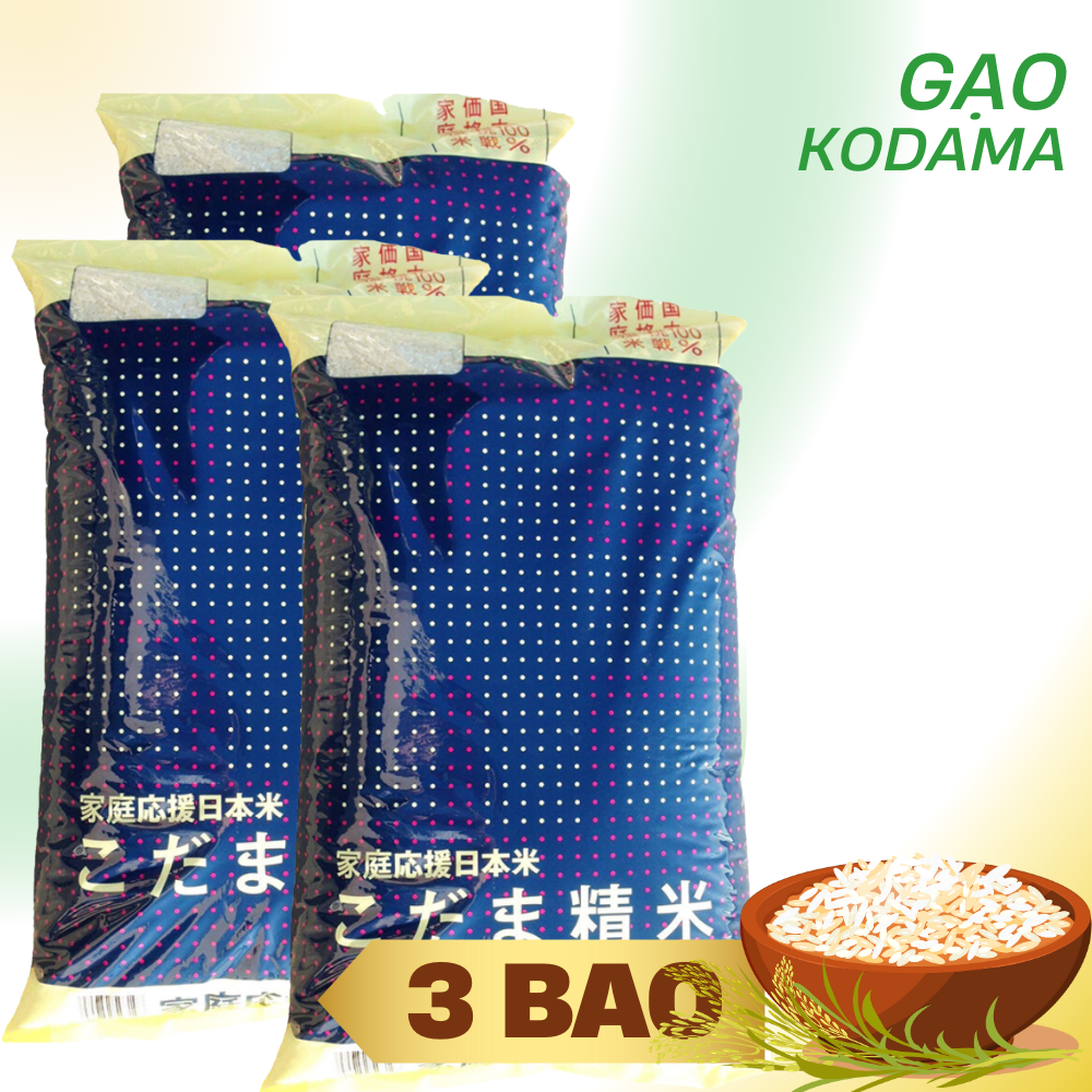 Gạo Kodama