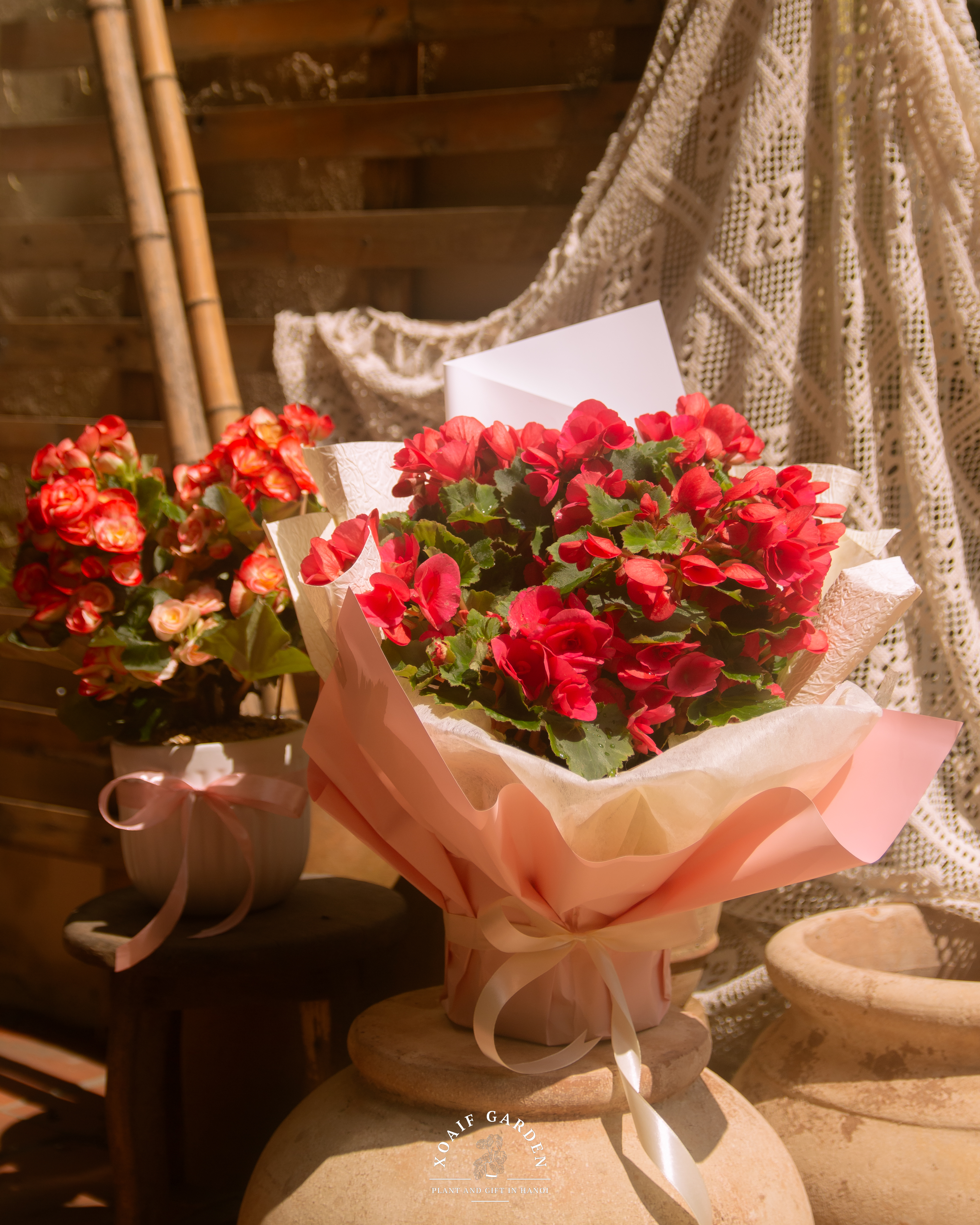 SET QUÀ TẶNG CÂY THU HẢI ĐƯỜNG_thumbnail_5