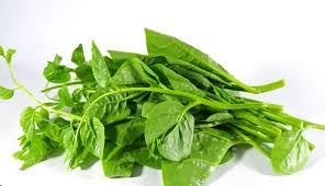 Rau mồng tơi 500g_thumbnail_1