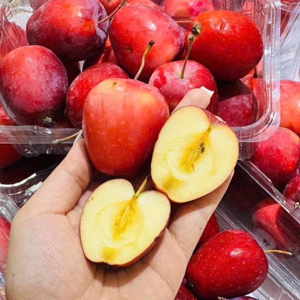 Táo Cherry_thumbnail_3