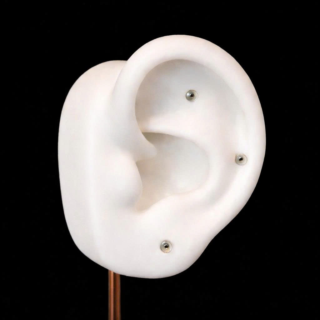 Khuyên kiểu đầu nhựa giấu lỗ tốt hơn kts_thumbnail_1