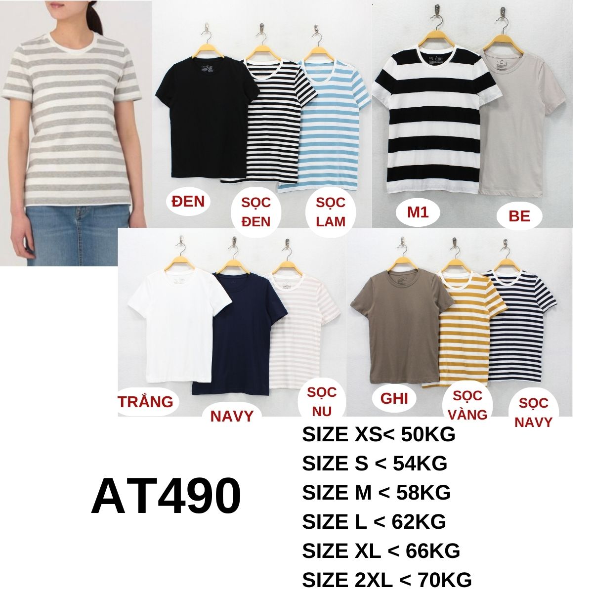 AT490 - Áo thun Nhật
