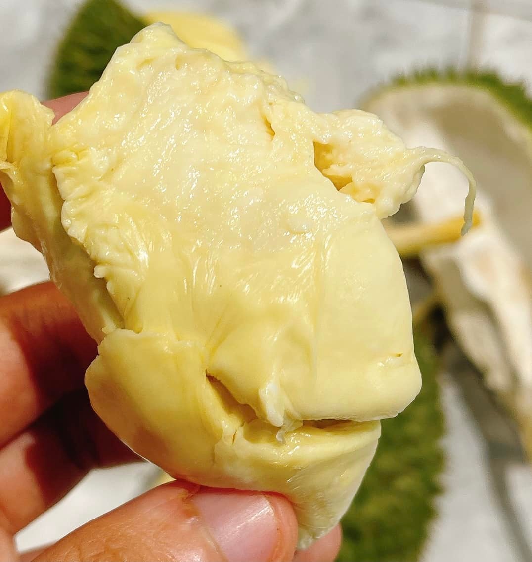 Tách Sẵn - Sầu Riêng Chuồng Bò cổ_thumbnail_3